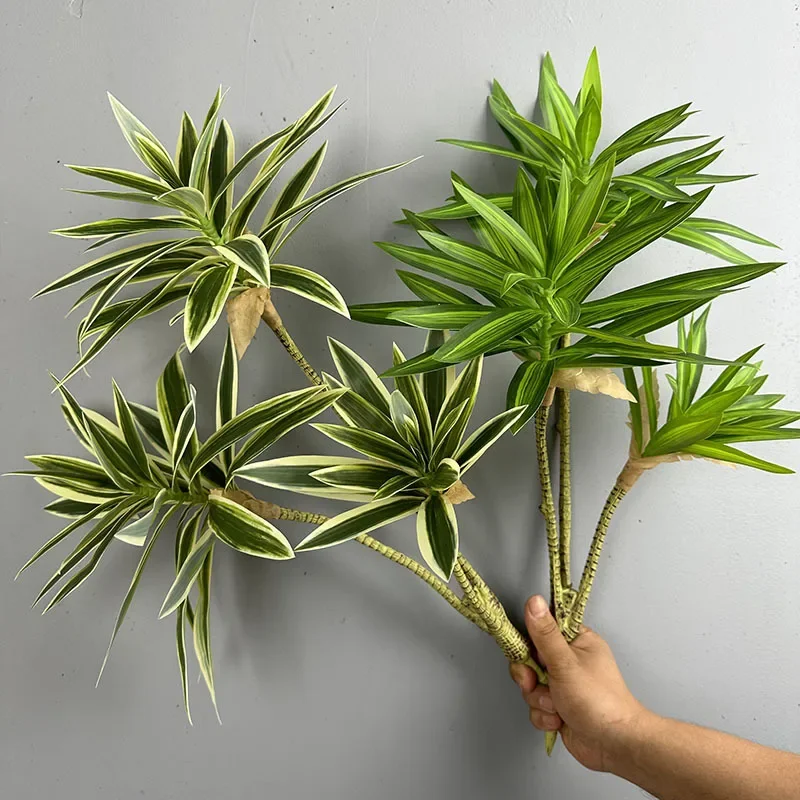 พืชสีเขียวประดิษฐ์ Tropical Li - Dracaena Marginata บทวิจารณ์และราคา