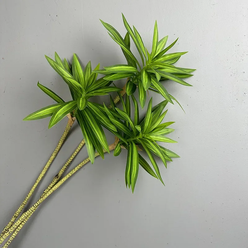 พืชสีเขียวประดิษฐ์ Tropical Li - Dracaena Marginata บทวิจารณ์และราคา