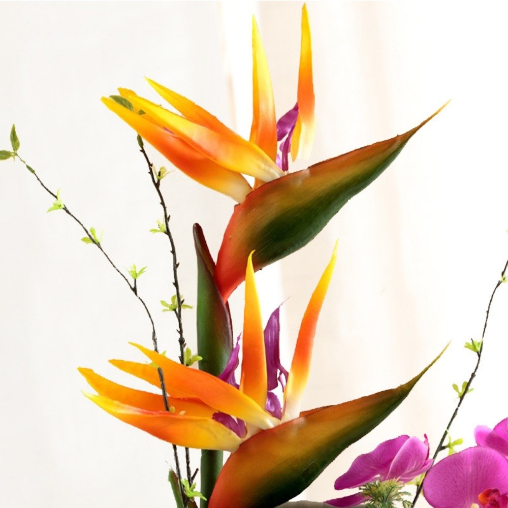 ดอกสตรีลิเซียปลอม ก้านยาว แบบใ - Bird Paradise Strelitzia บทวิจารณ์และราคา