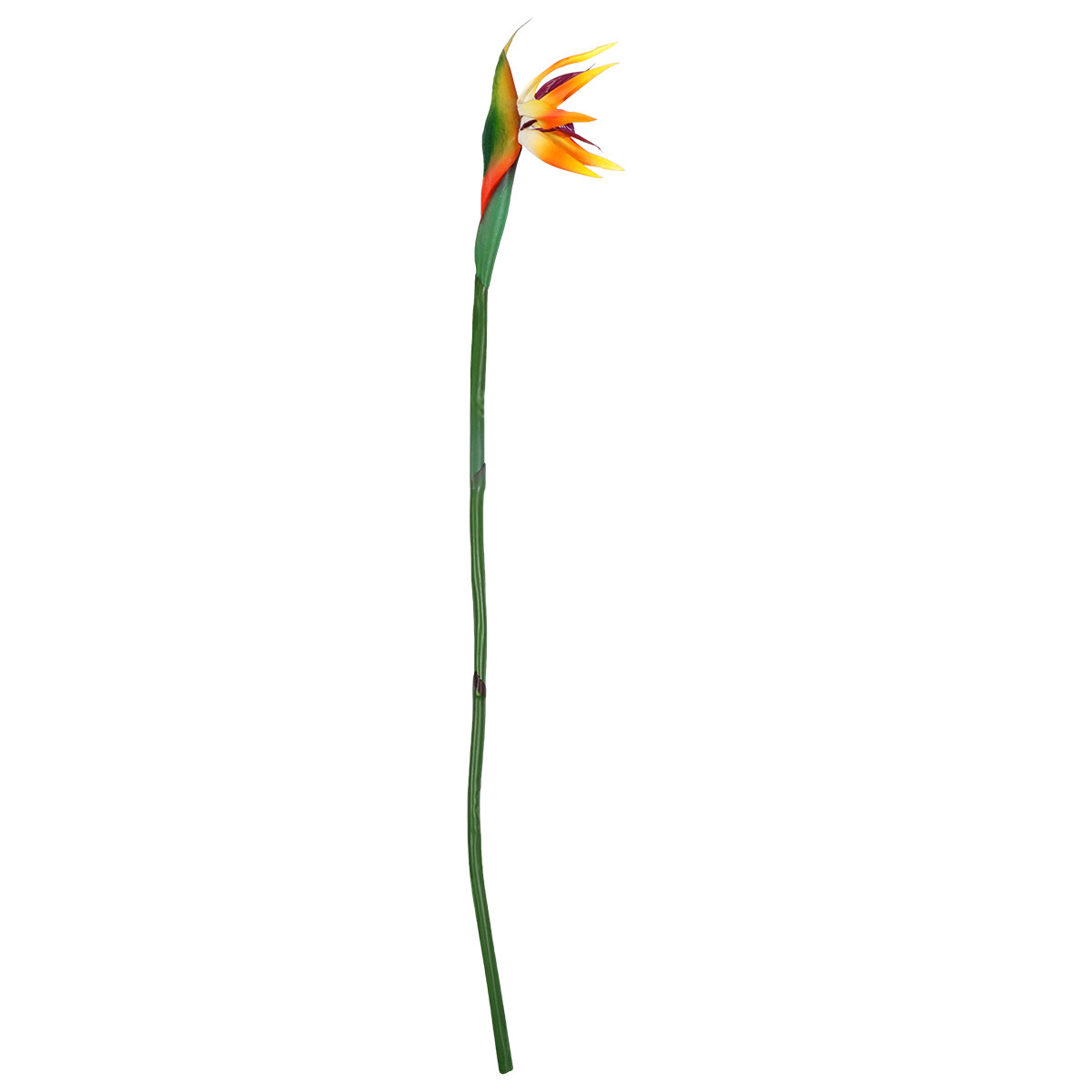 ดอกสเตรลิเซียประดิษฐ์สัมผัสเหม - Bird Paradise Strelitzia บทวิจารณ์และราคา