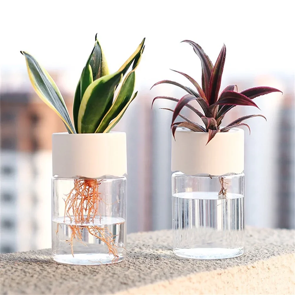 กระถางปลูกดอกไม้ไฮโดรโปนิกส์ขน - Aloe Vera Pot บทวิจารณ์และราคา