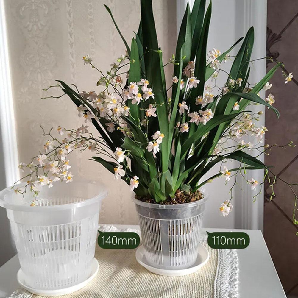 กระถางตาข่ายควบคุมราก โปร่งใส  - Aloe Vera Pot บทวิจารณ์และราคา