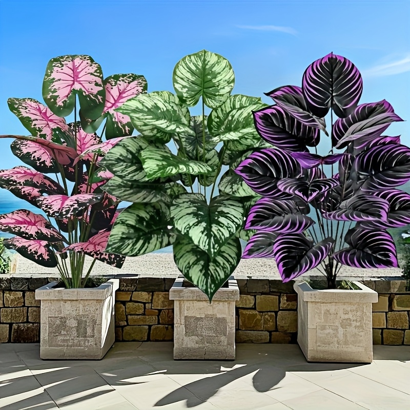 3 ชิ้น 60 เซนติเมตรขนาดใหญ่พืช - Monstera Adansonii บทวิจารณ์และราคา