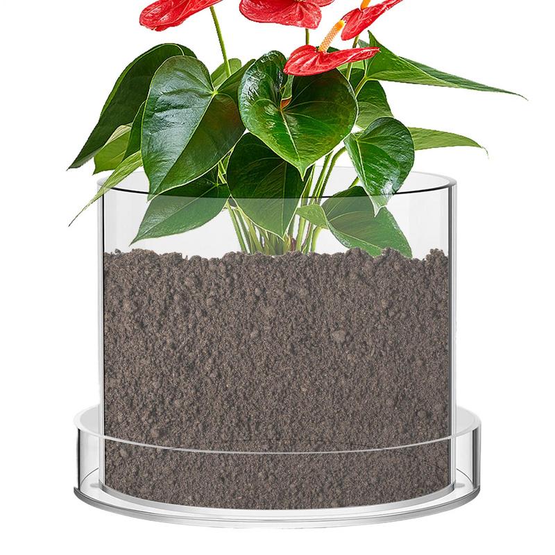 ล้างกระถางต้นไม้ระบายน้ําล้าง  - Aloe Vera Pot บทวิจารณ์และราคา