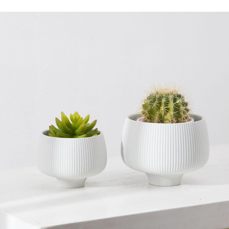 ลายหลากสีแจกันเซรามิคกระถางต้น - Aloe Vera Pot บทวิจารณ์และราคา
