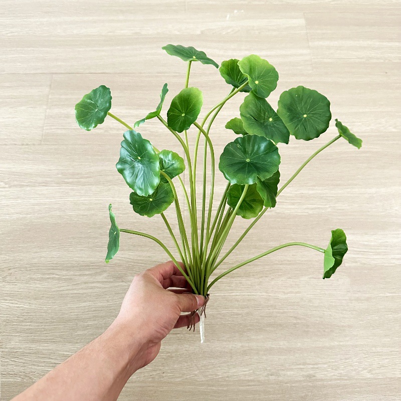 2 ชิ้น ต้นไม้ประดิษฐ์ ปาเลีย เ - Pilea Peperomioides บทวิจารณ์และราคา