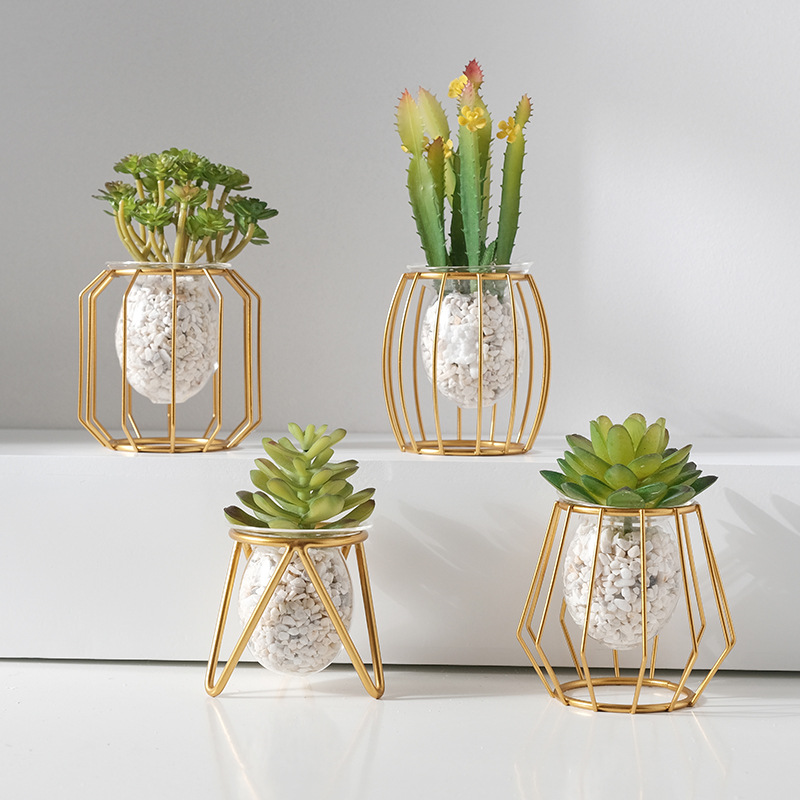 บ้านสร้างสรรค์แจกันไฮโดรโพนิกเ - Aloe Vera Pot บทวิจารณ์และราคา