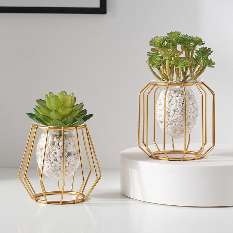 บ้านสร้างสรรค์แจกันไฮโดรโพนิกเ - Aloe Vera Pot บทวิจารณ์และราคา